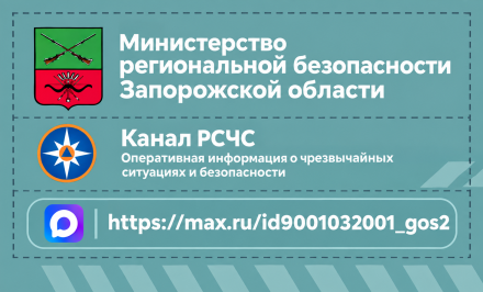 Макс РСЧС
